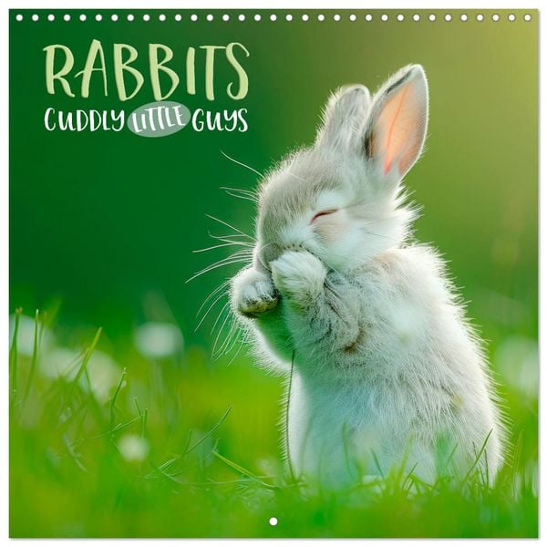 Produktbild: RABBITS Cuddly little guys (Wall Calendar 2026 12 &times; 12 Inch) CALVENDO 12 Month Wall Calendar