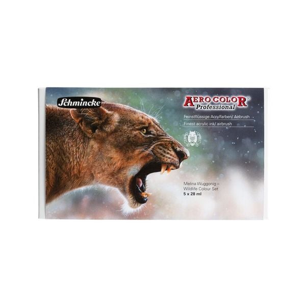 Produktbild: Schmincke AEROCOLOR Kartonset, 5 x 28 ml Melina Wuggonig