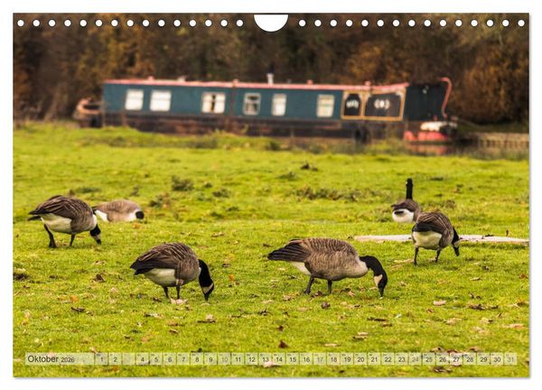 Produktbild: Narrow Boating auf dem Grand Union Canal (Wandkalender 2026 DIN A4 quer), CALVENDO Monatskalender