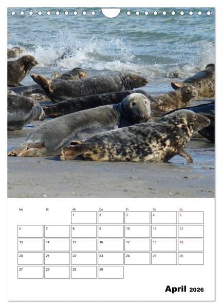 Produktbild: Einzigartige Insel Helgoland (Wandkalender 2026 DIN A4 hoch), CALVENDO Monatskalender