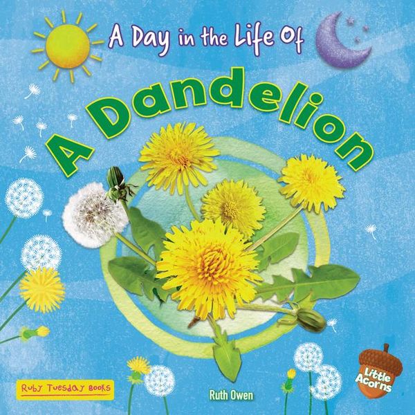 Produktbild: A Dandelion