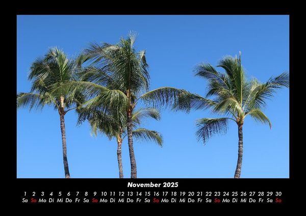 Produktbild: Palmentraum 2025 Fotokalender DIN A3
