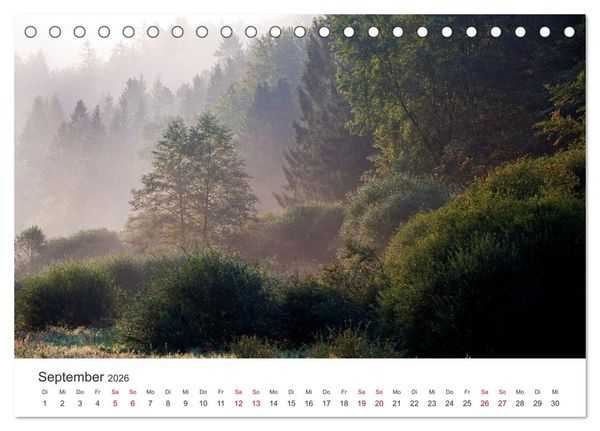 Produktbild: Im Deutschen Wald (Tischkalender 2026 DIN A5 quer), CALVENDO Monatskalender