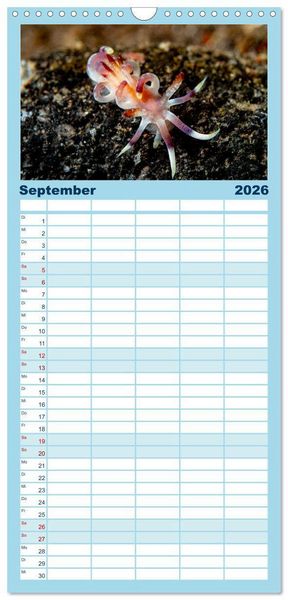 Produktbild: Familienplaner 2026 - Nudis &ndash; Die bunte Welt der Nacktschnecken mit 5 Spalten (Wandkalender, 21 x 45 cm) CALVENDO