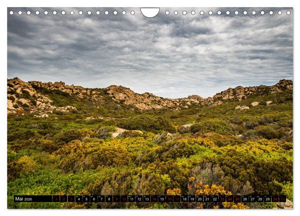 Produktbild: Wildes Sardinien 2026 (Wandkalender 2026 DIN A4 quer), CALVENDO Monatskalender