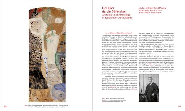 Produktbild: Gustav Klimt und die Medizin