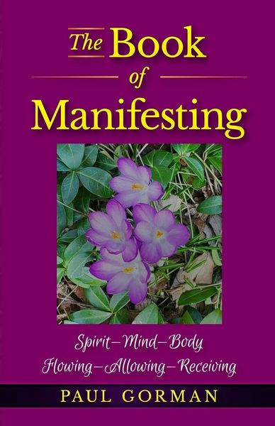 Produktbild: The Book of Manifesting