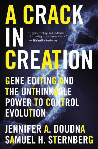 Produktbild: A Crack in Creation