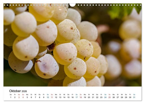 Produktbild: Rheingau - Rhein Riesling Kultur (Wandkalender 2026 DIN A3 quer), CALVENDO Monatskalender