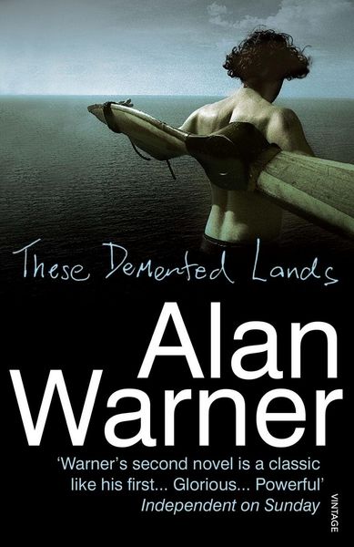 Produktbild: These Demented Lands