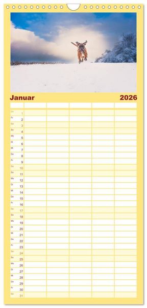 Produktbild: Familienplaner 2026 - Deutscher Boxer mit 5 Spalten (Wandkalender, 21 x 45 cm) CALVENDO