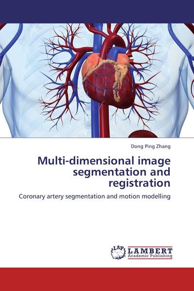 Produktbild: Multi-dimensional image segmentation and registration
