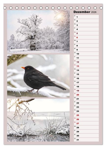 Produktbild: Harmonie der Farben in Landschaft und Natur (Tischkalender 2026 DIN A5 hoch), CALVENDO Monatskalender