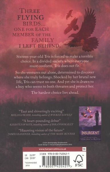 Produktbild: DIVERGENT_DIVERGENT1 EX PB