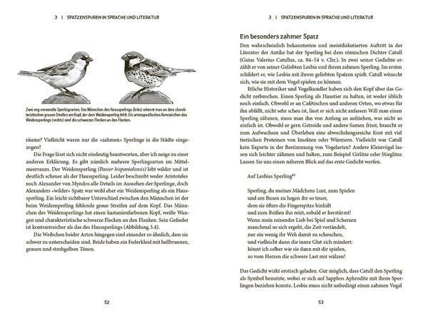 Produktbild: Der Spatz