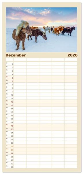 Produktbild: Familienplaner 2026 - Islandpferde - Die s&uuml;&szlig;en Pferde im Norden. mit 5 Spalten (Wandkalender, 21 x 45 cm) CALVENDO