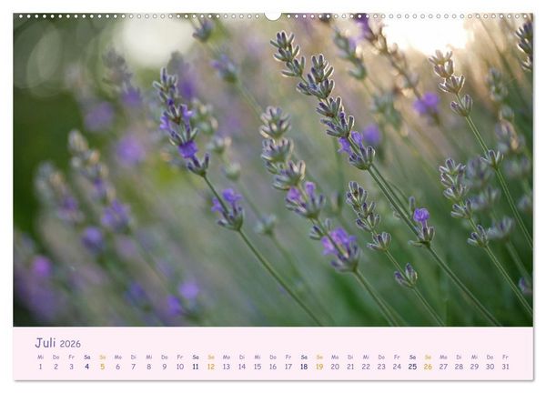 Produktbild: Naturwunder Bl&uuml;ten (hochwertiger Premium Wandkalender 2026 DIN A2 quer), Kunstdruck in Hochglanz