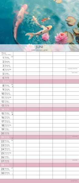 Produktbild: Familienplaner Zen 2026 - Familien-Timer 19,5x45 cm - 5 Spalten - Wand-Planer - viel Platz für Eintragungen - Familienkalender - Alpha Edition