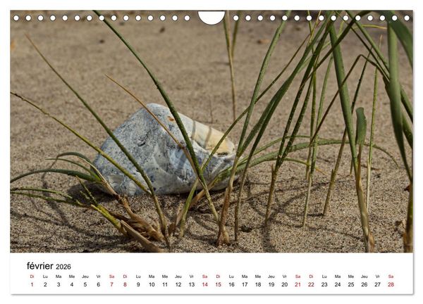 Produktbild: Dunes et mer - Une exp&eacute;rience nature (Calendrier mural 2026 DIN A4 vertical), CALVENDO calendrier mensuel