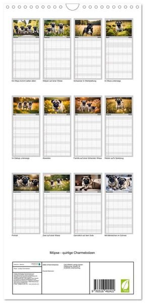 Produktbild: Familienplaner 2026 - M&ouml;pse - quirlige Charmebolzen mit 5 Spalten (Wandkalender, 21 x 45 cm) CALVENDO