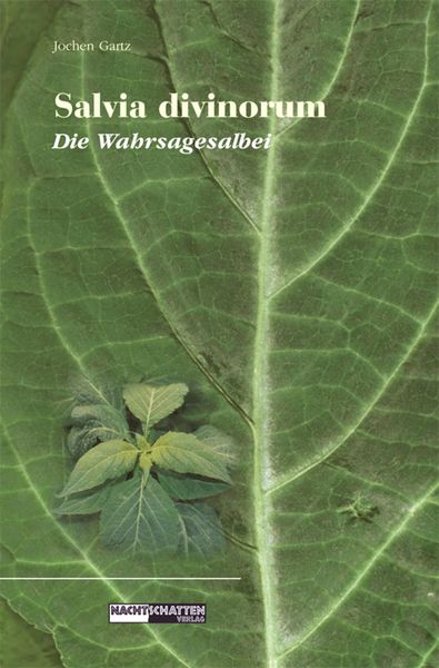 Produktbild: Salvia Divinorum - Die Wahrsagesalbei