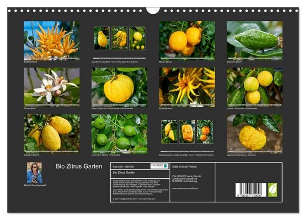 Produktbild: Bio Zitrus Garten (Wandkalender 2026 DIN A3 quer), CALVENDO Monatskalender