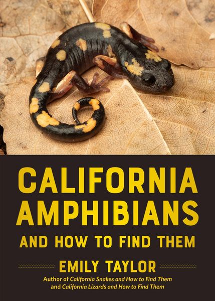 Produktbild: California Amphibians and How to Find Them