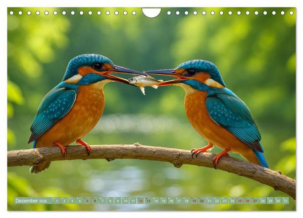 Produktbild: Eisvogeltr&auml;ume am Wasser (Wandkalender 2026 DIN A4 quer), CALVENDO Monatskalender