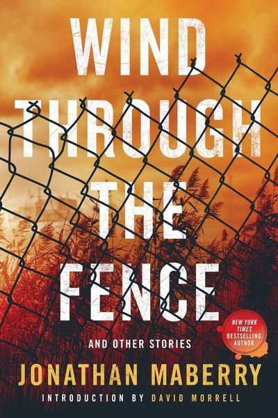 Produktbild: Wind Through the Fence