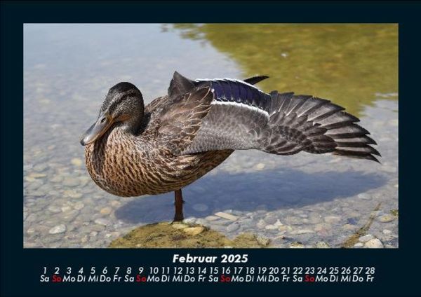 Produktbild: Welt der Tiere 2025 Fotokalender DIN A5
