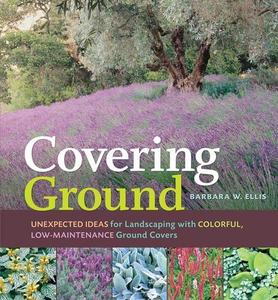 Produktbild: Covering Ground