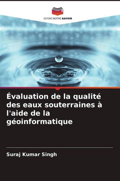 Produktbild: &Eacute;valuation de la qualit&eacute; des eaux souterraines &agrave; l'aide de la g&eacute;oinformatique