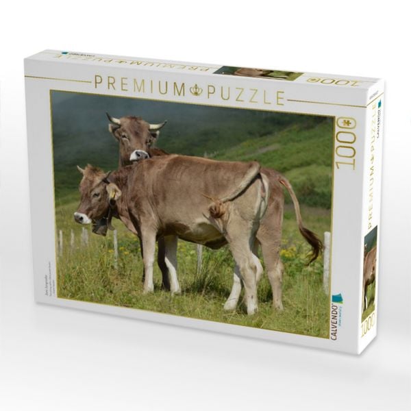 Produktbild: CALVENDO Puzzle Zwei Jungrinder | 1000 Teile Lege-Gr&ouml;&szlig;e 64x48cm Foto-Puzzle f&uuml;r gl&uuml;ckliche Stunden
