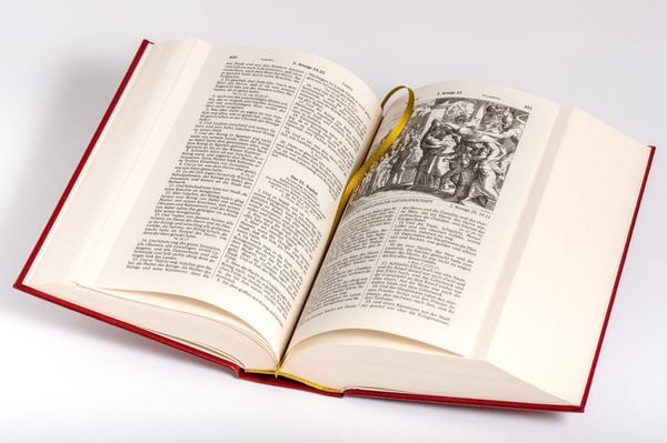 Die Bibel (Geschenkausgabe, Cabra-Leder)