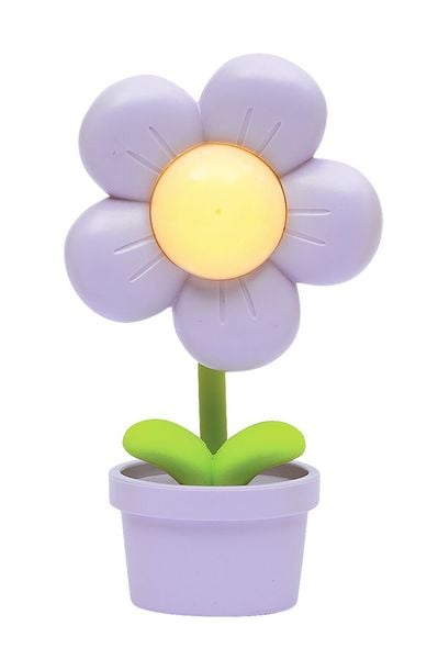 Produktbild: Mini-Blumenlampe Fr&uuml;hlingszauber