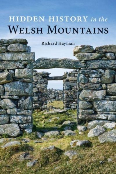 Produktbild: Hidden History in the Welsh Mountains
