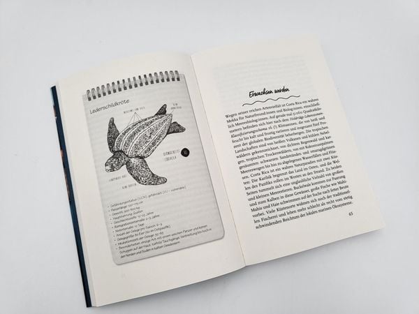 Produktbild: Meine Reise mit den Meeresschildkröten