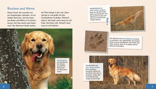 Produktbild: Meine gro&szlig;e Tierbibliothek: Der Hund