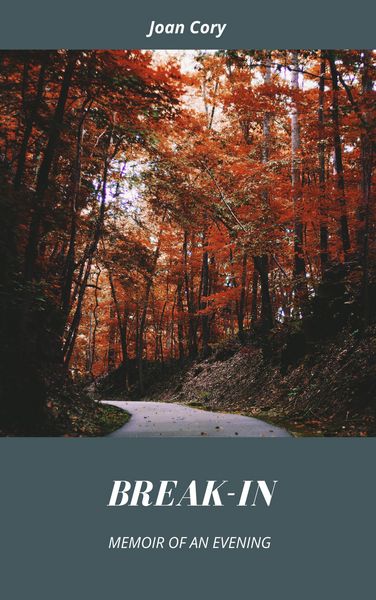 Produktbild: Break-In: Memoir of an Evening