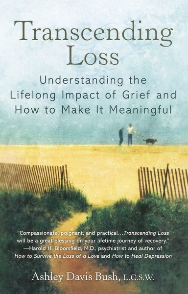 Produktbild: Transcending Loss