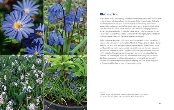 Produktbild: Growing Bulbs in the Natural Garden