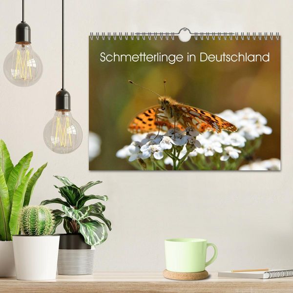 Produktbild: Schmetterlinge in Deutschland (Wandkalender 2026 DIN A4 quer), CALVENDO Monatskalender