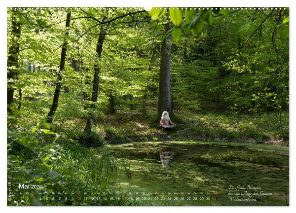 Produktbild: HAIKU AM TEICH (hochwertiger Premium Wandkalender 2026 DIN A2 quer), Kunstdruck in Hochglanz