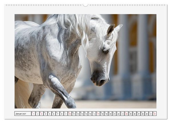 Produktbild: Spanische Eleganz. Edle Schimmel auf dem Gest&uuml;t (hochwertiger Premium Wandkalender 2027 DIN A2 quer), Kunstdruck in Hochglanz