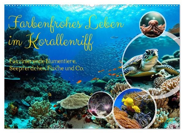 Produktbild: Farbenfrohes Leben im Korallenriff (Wandkalender 2026 DIN A2 quer), CALVENDO Monatskalender