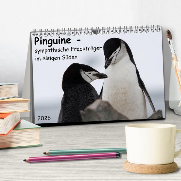 Produktbild: Pinguine - sympathische Fracktr&auml;ger im eisigen S&uuml;den (Tischkalender 2026 DIN A5 quer), CALVENDO Monatskalender