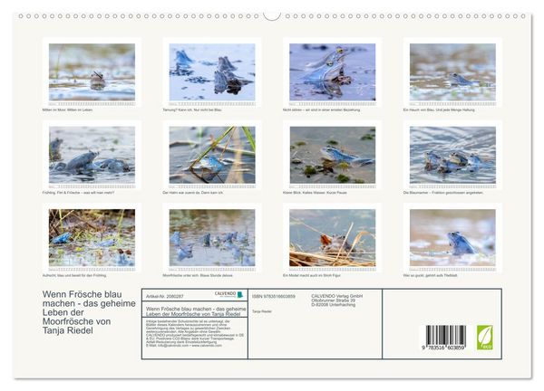Produktbild: Wenn Fr&ouml;sche blau machen - das geheime Leben der Moorfr&ouml;sche von Tanja Riedel (hochwertiger Premium Wandkalender 2026 DIN A2 quer), Kunstdruck in Hochglanz