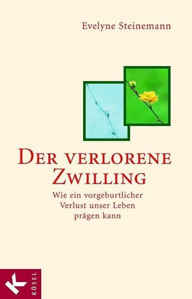 Produktbild: Der verlorene Zwilling