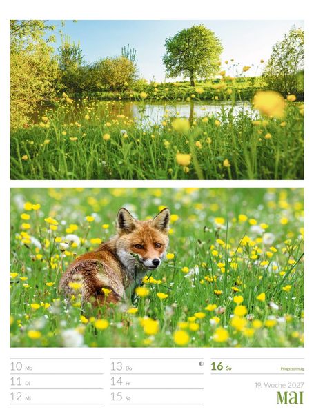 Produktbild: Farben der Natur Wochenplaner Kalender 2027