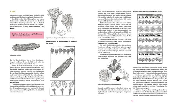 Produktbild: Das gro&szlig;e Hochbeet-Buch